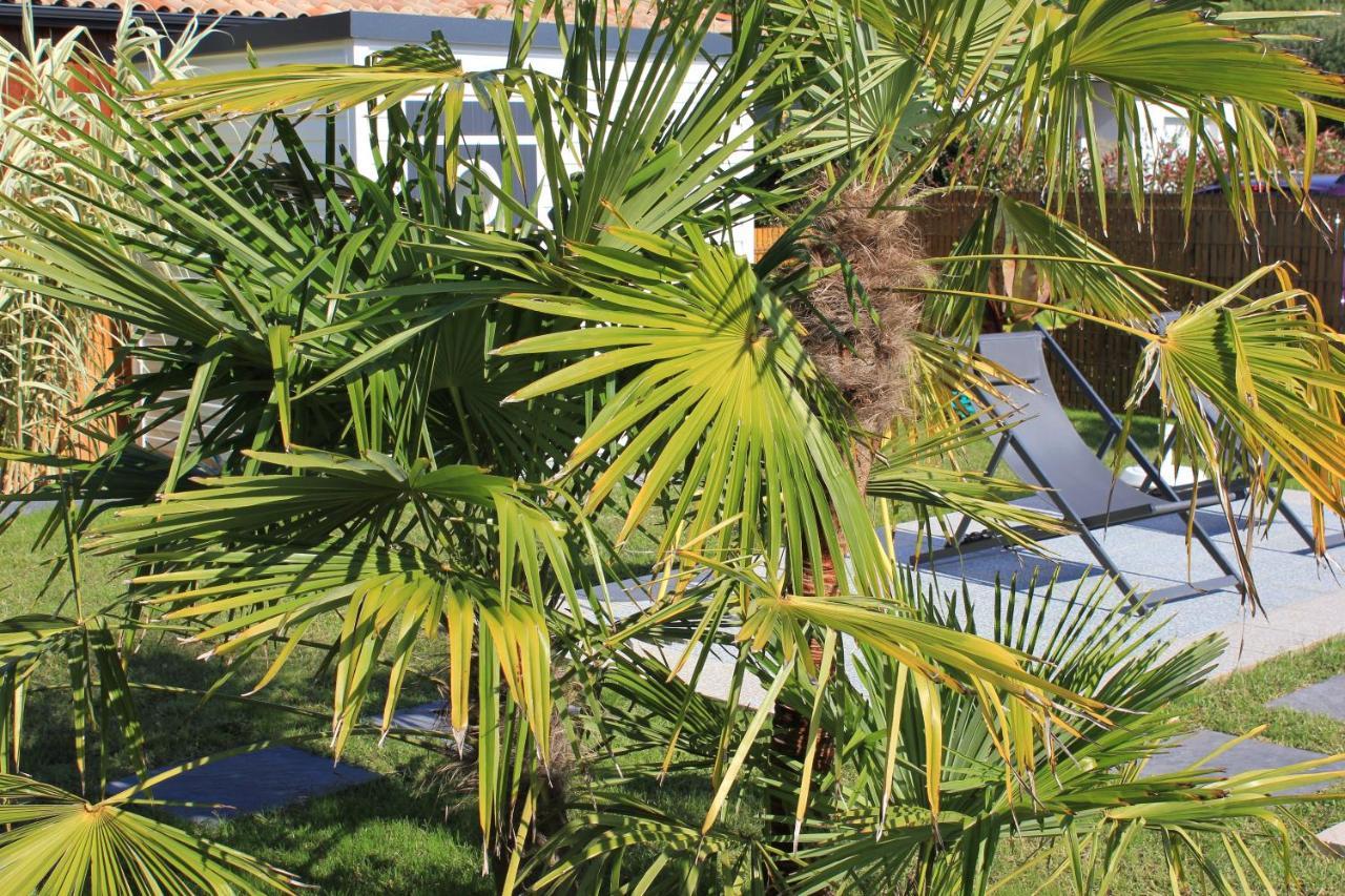 l'entrelacs chambre d'hôtes avec piscine ,proche golfs et bassin d'Arcachon Sanguinet Extérieur photo